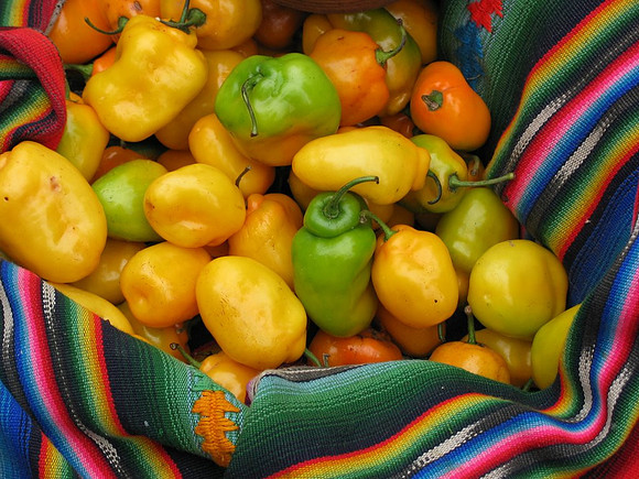Peppers, Guatemala