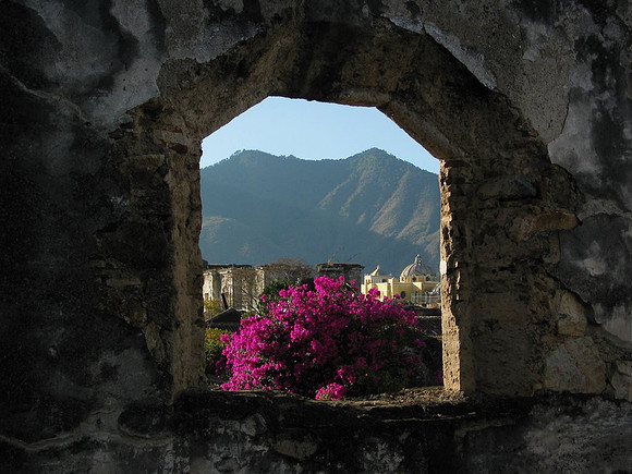 View from the Abbey