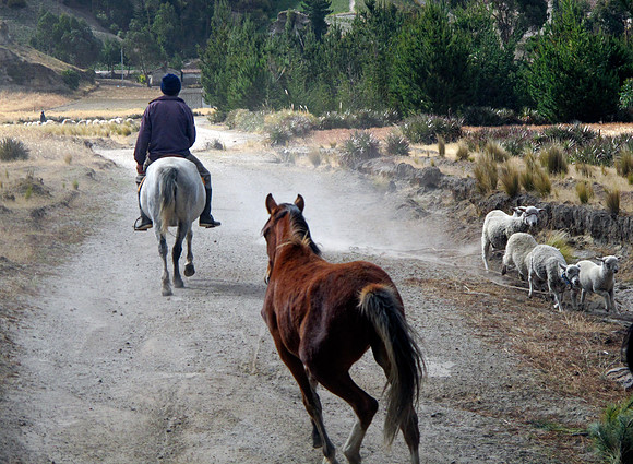 Horseback Riding, Ecuador