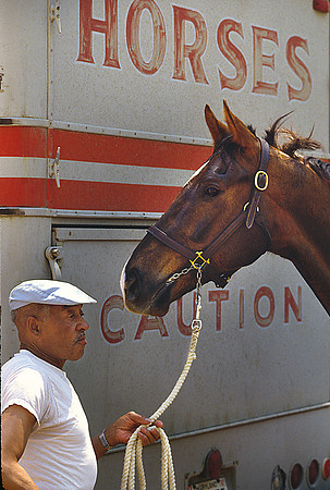 Man with Horse