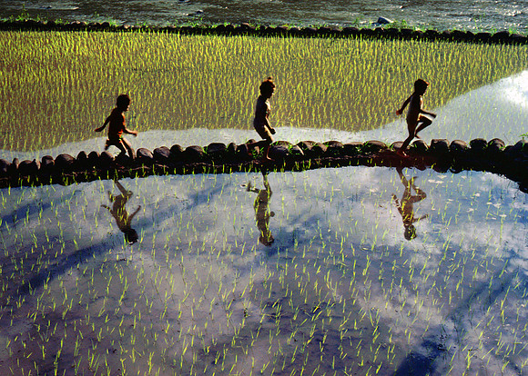 Running on Rice Terraces