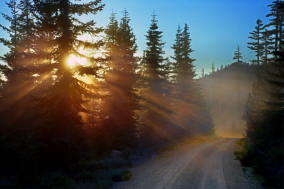 Mountain Road, Oregon