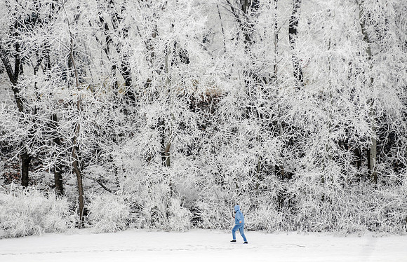 Hoar Frost