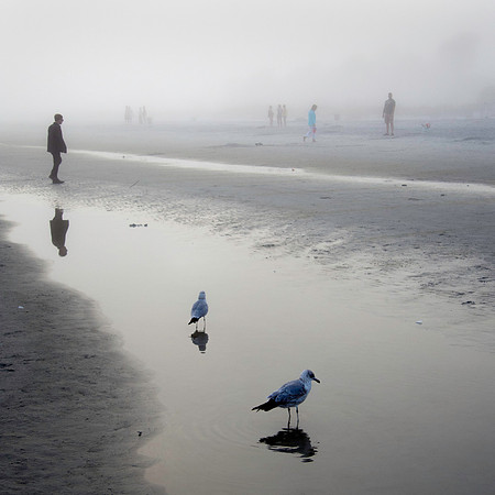 Fog at Hilton Head