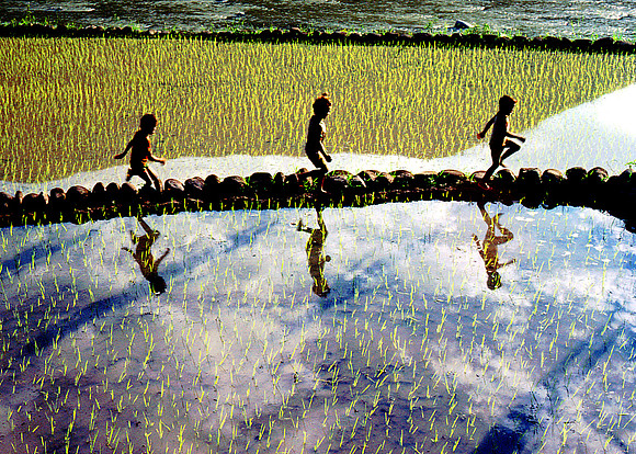 Rice Terraces, Philippines.