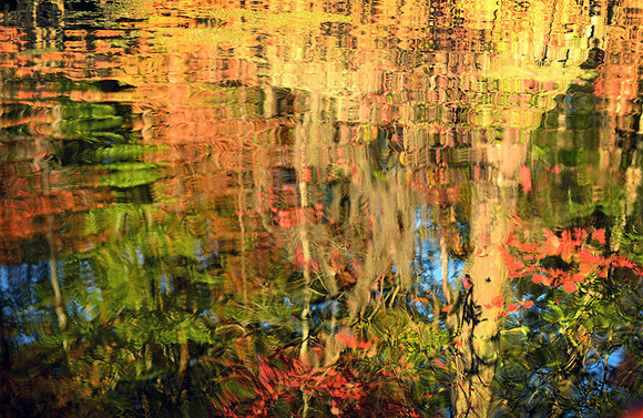 Reflection, North Carolina.
