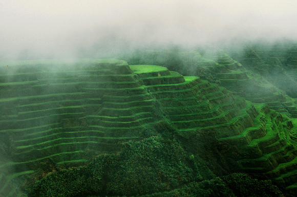 Rice Terraces, Philippines.