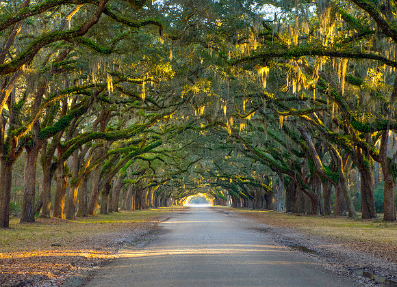 Savannah, Georgia.