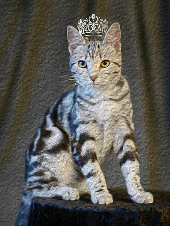 Her Royal Highness