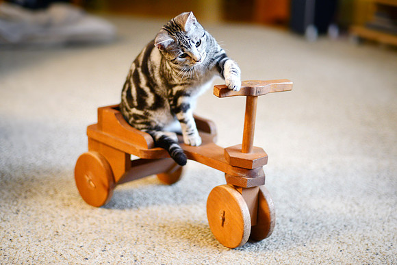 Learning to Drive