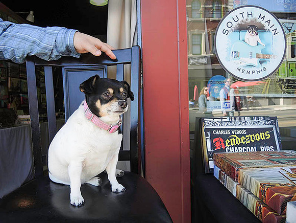 Record store, Memphis