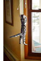 Gracie and Window